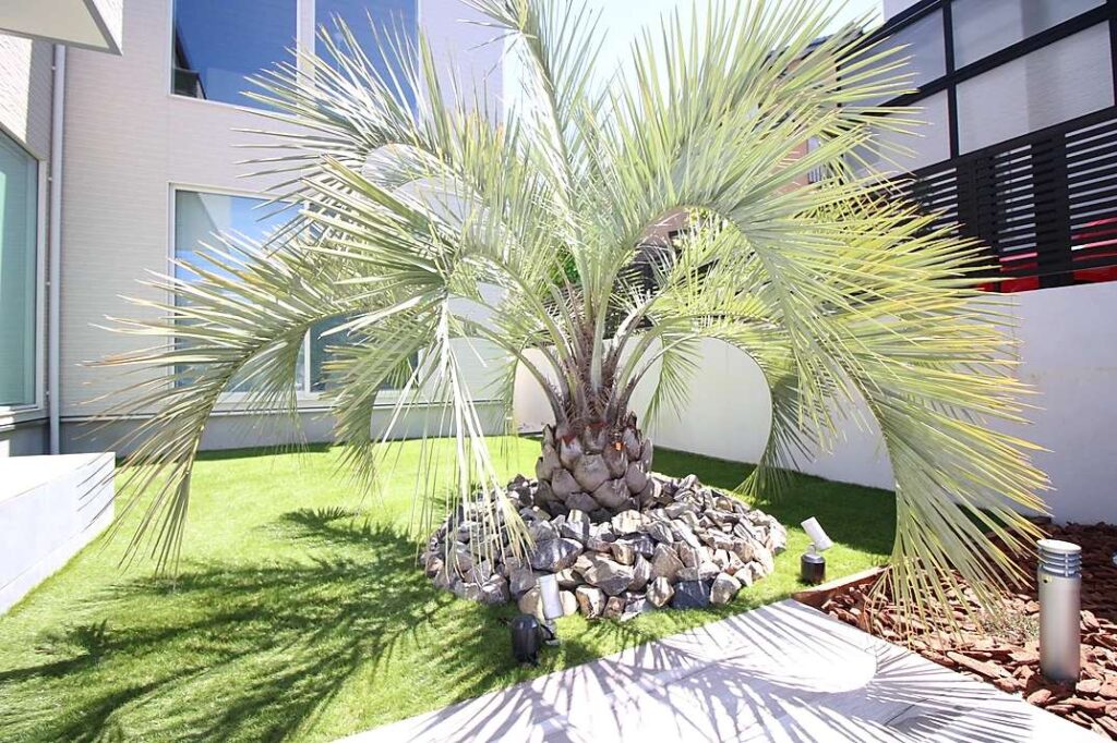 リゾート感のある洋風オシャレ外構。白い門柱とウッドチップを組み合わせた植栽で高級感の演出。