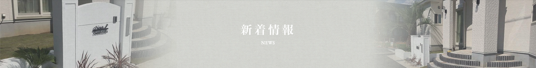 新着情報